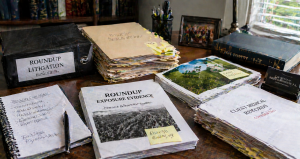 Legal documents and evidence files organized on office desk